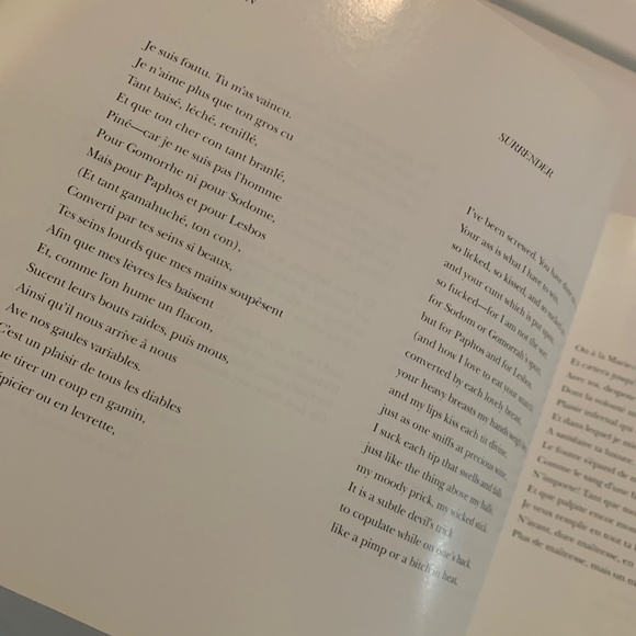 Vintage Book "Women/Men (Femmes/Hombres) The Erotic Poetry of Paul Verlaine" - Picture 4 of 8